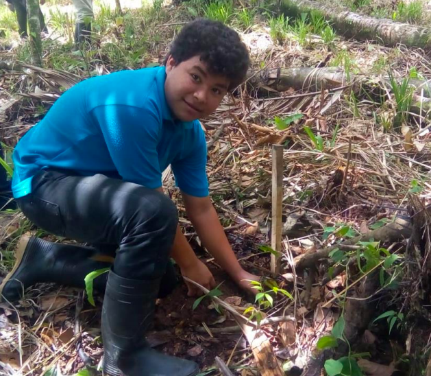 reforesta1